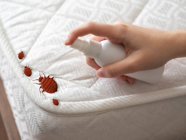 Professional Pest Control in Mayo, MD